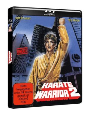 Karate Warrior 2